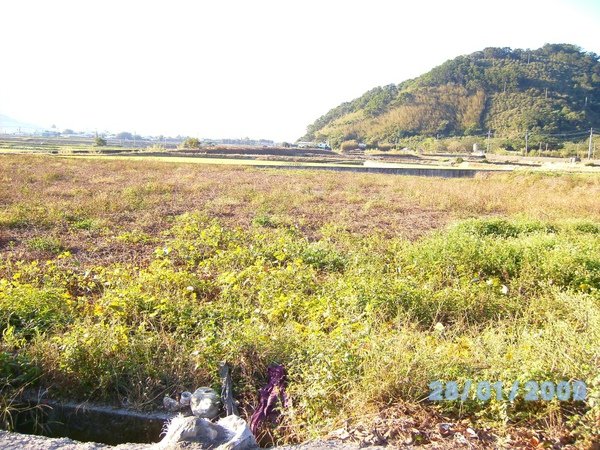 SANY0033.JPG