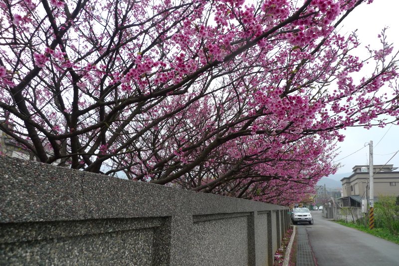 P1420310.JPG