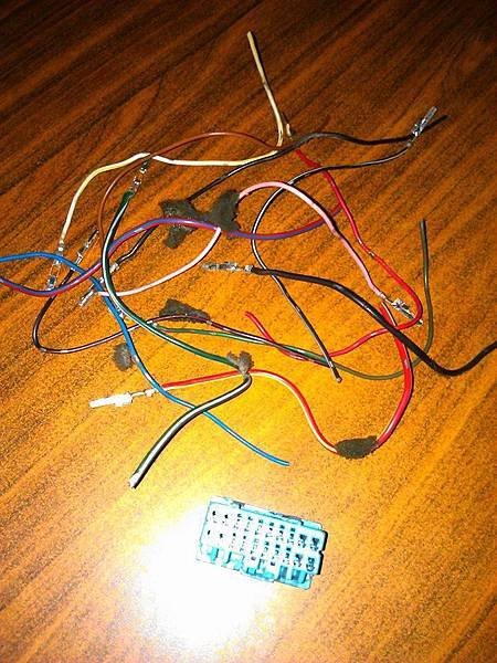 10150750_709554042399815_1457219341190793076_n