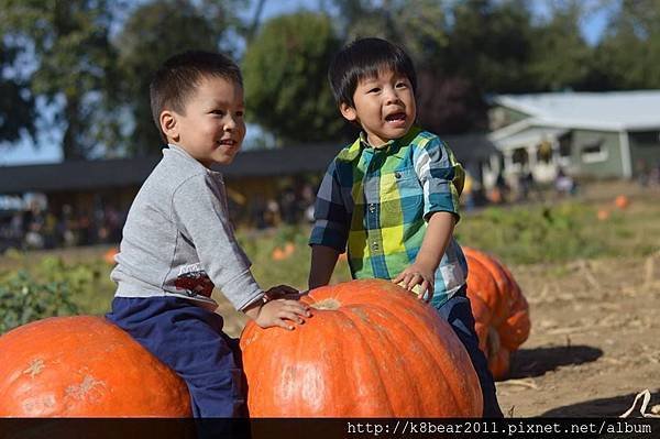 20141026 Bishop Pumpkin Patch 13.jpg