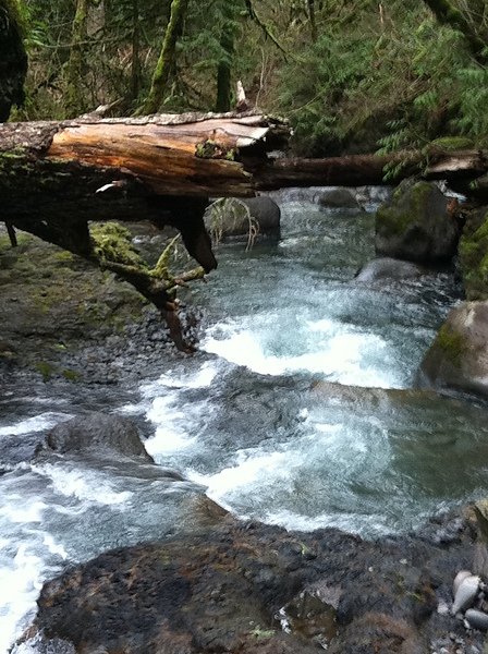 Multnomah Falls 2