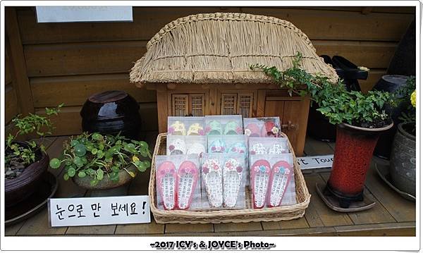 20170701-041.JPG