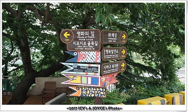 20170701-114.JPG