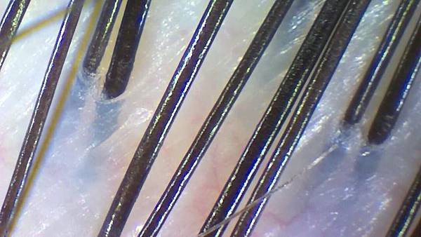 201967_190616_0074.jpg