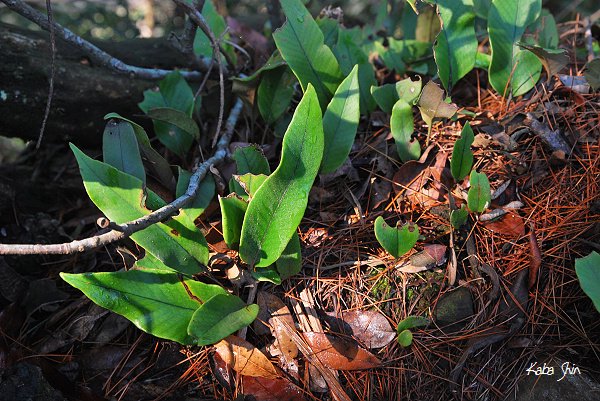 2011-01-22 10-14-26.jpg
