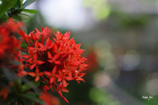 S 2011-06-06 12-52-50.jpg