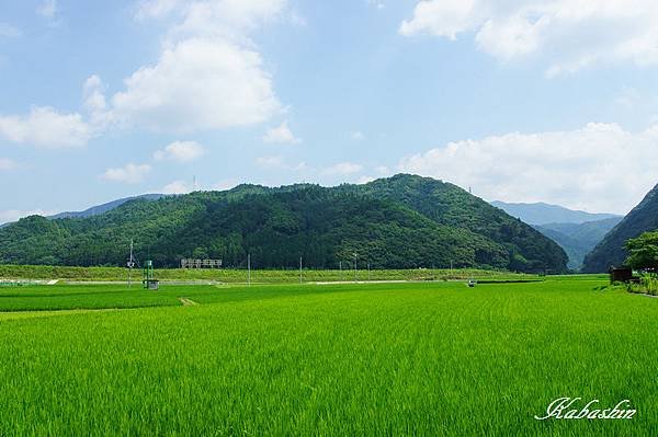 S 2013-07-09 09-07-29.jpg