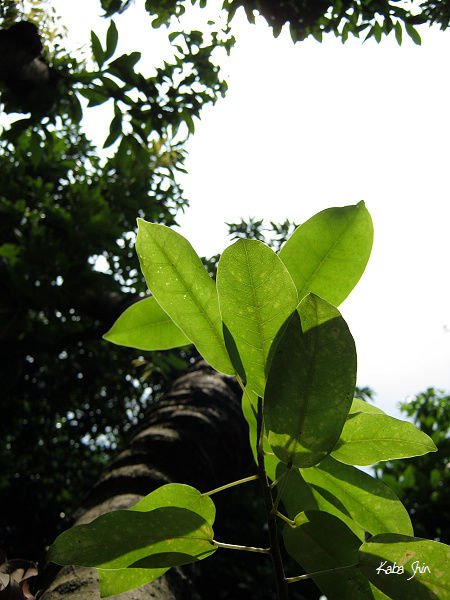 2010-08-20 11-11-23.jpg