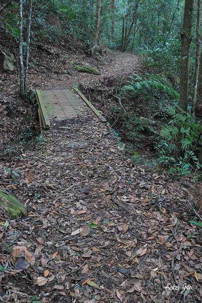2011-01-22 13-12-20.jpg