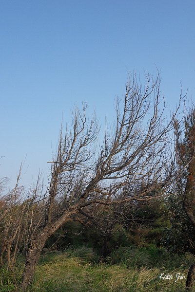 2010-09-30 16-11-41.jpg