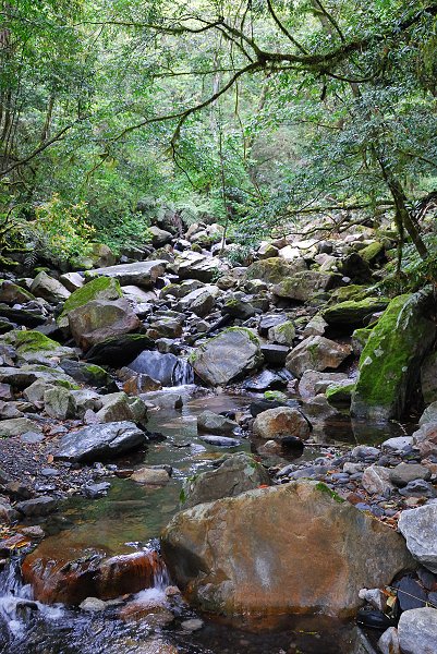 Smangus D2_080.jpg