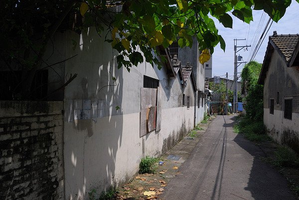 DSC_0163_028_.jpg