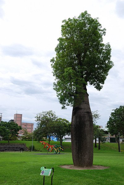 DSC_0267_027_.jpg