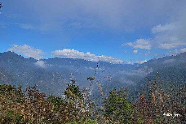 2011-01-22 12-17-14.jpg