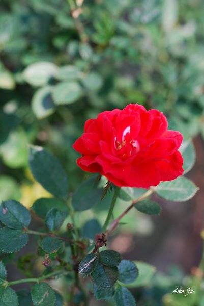 2011-03-13 14-56-32.jpg