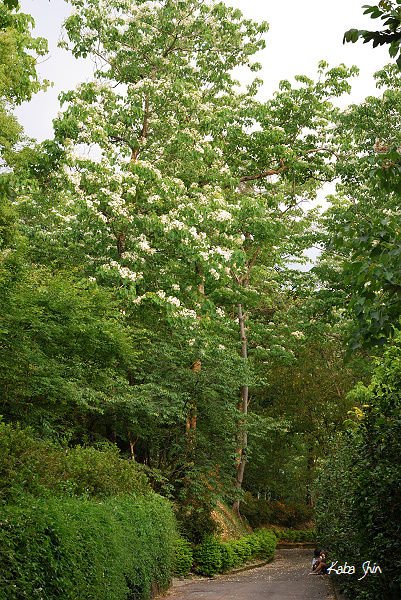 2010-04-21 16-16-33.jpg