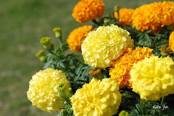 2010-12-31 10-41-51.jpg