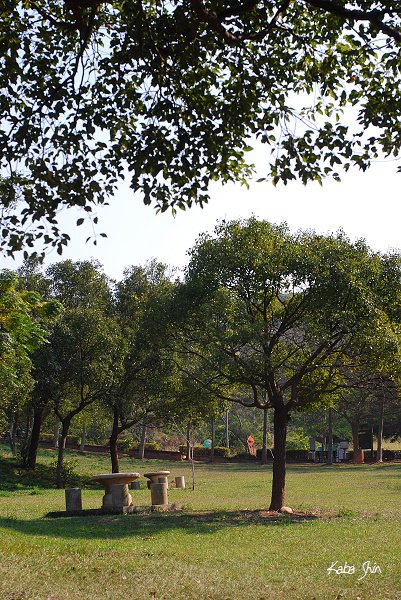 2010-11-27 13-11-35.jpg