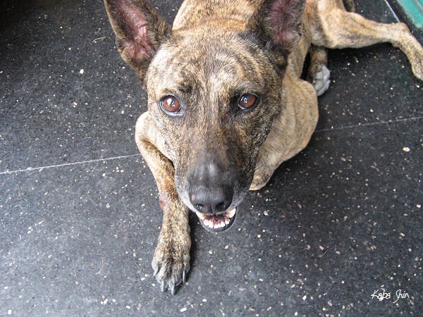 2010-07-20 11-30-39.jpg