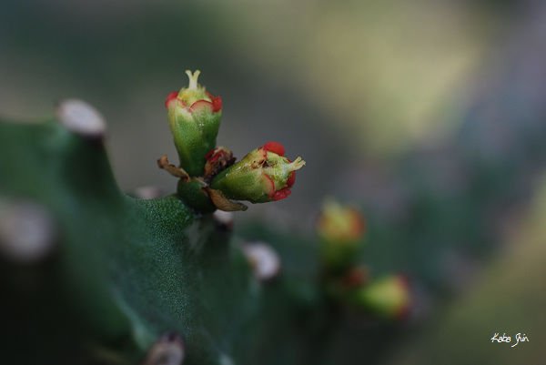 2011-03-13 14-59-23.jpg
