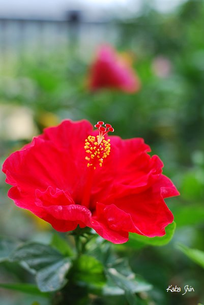 2010-10-12 11-25-05.jpg