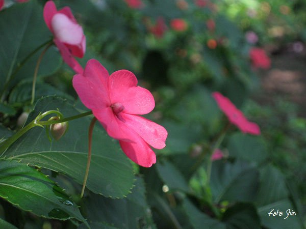 2010-08-20 10-44-39.jpg