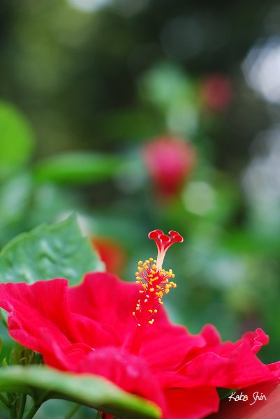 2010-10-12 11-22-54.jpg