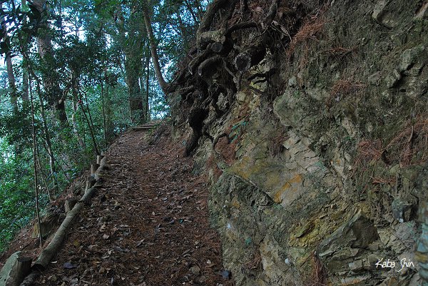 2011-01-22 13-29-52.jpg