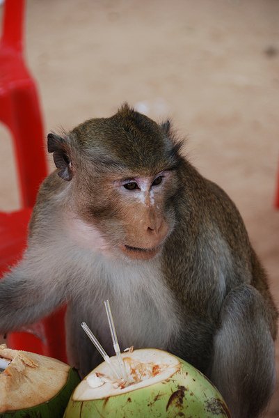 DSC_DAY3 0277__050.jpg