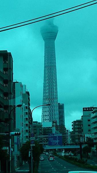 DSC_1235.jpg