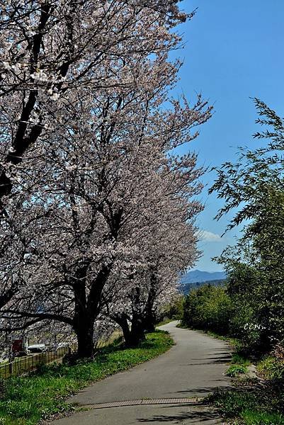 DSC_6085.JPG