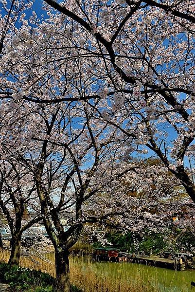 DSC_6160.JPG