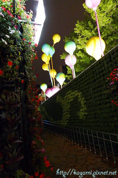 P1030763.jpg