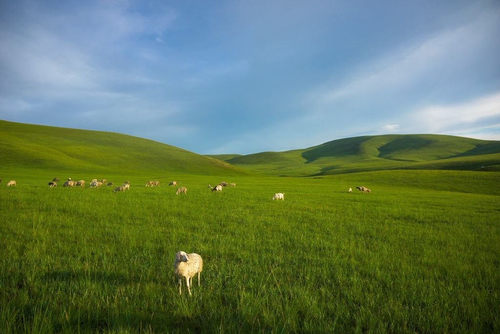 prairie-1367799_1920.jpg