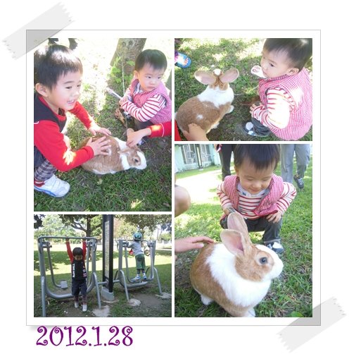 12012802.jpg