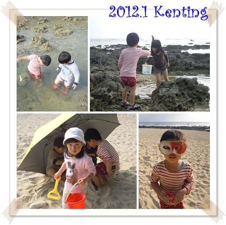 12012907.jpg