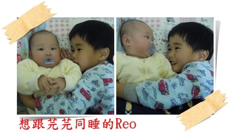 12020304.jpg