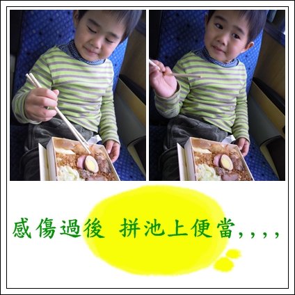 12020903