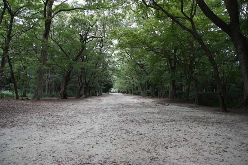 2015京阪奈202.jpg