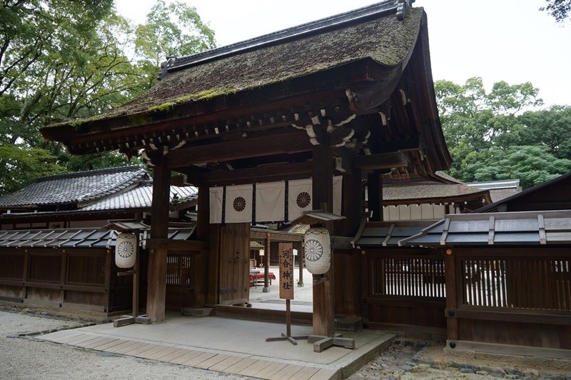 2015京阪奈203.jpg