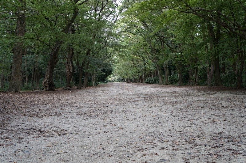2015京阪奈208.jpg
