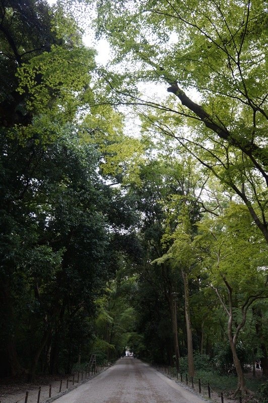 2015京阪奈207.jpg