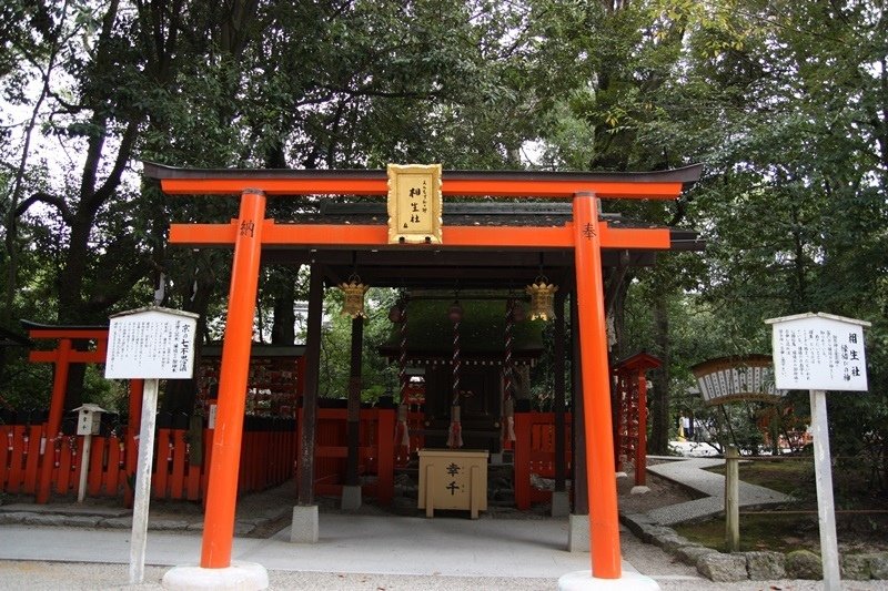 2015京阪奈211(1).jpg