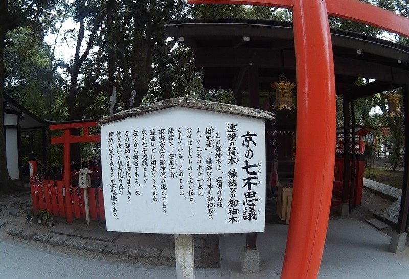 2015京阪奈213(1).jpg