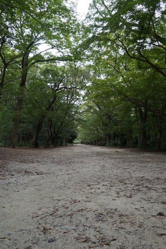 2015京阪奈217.jpg