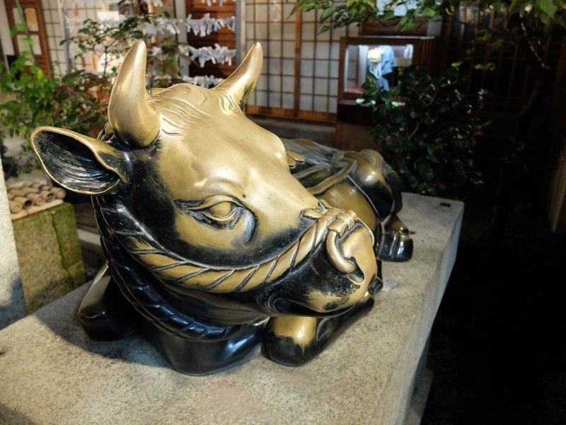 2015京阪奈239.jpg