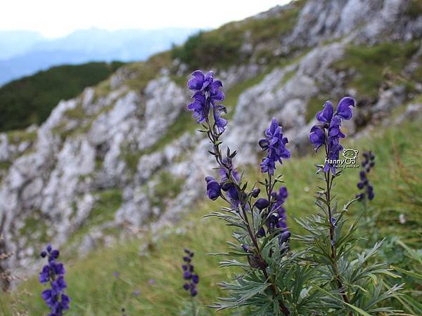 2014 0826 Grödig untersberg