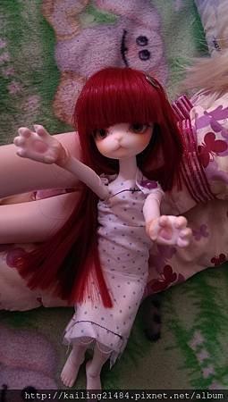 IMAG0681.jpg