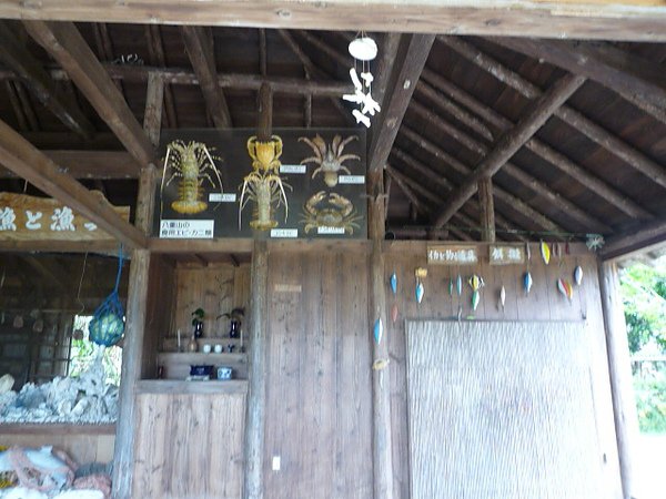 P1060417.JPG