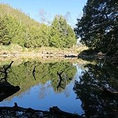 IMG_2066.jpg